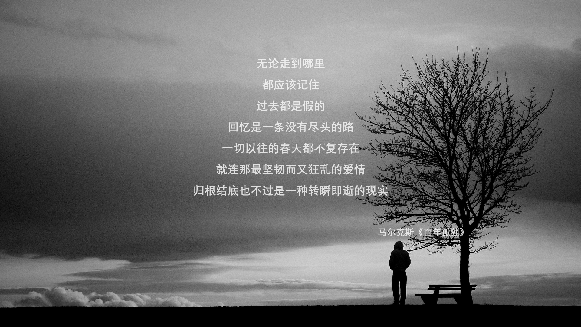 伟大教练的战术哲学：他们如何改变了足球？，足球教练战术大师